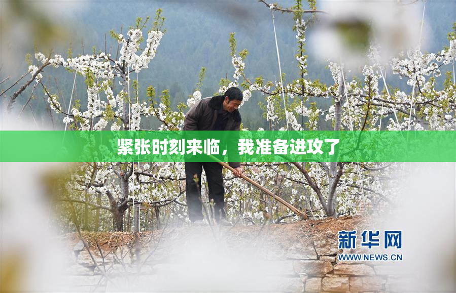 紧张时刻来临，我准备进攻了