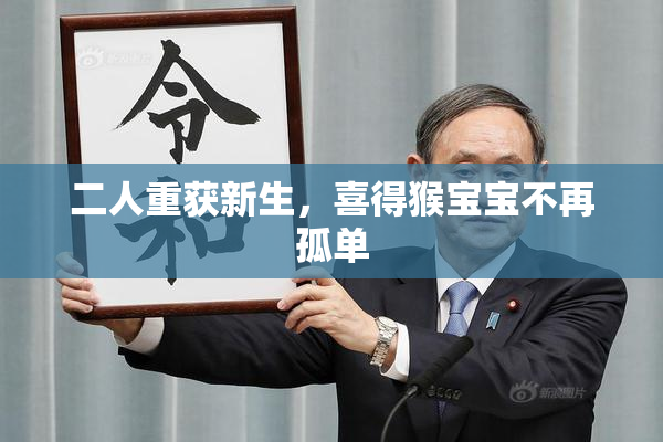 二人重获新生，喜得猴宝宝不再孤单