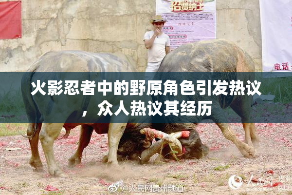 火影忍者中的野原角色引发热议，众人热议其经历