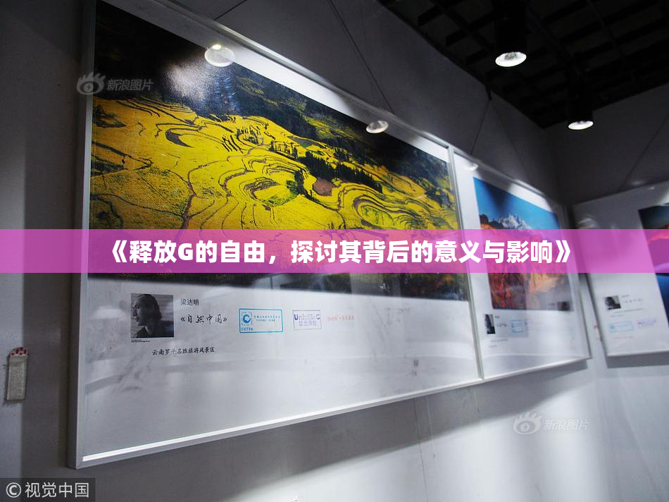 《释放G的自由，探讨其背后的意义与影响》