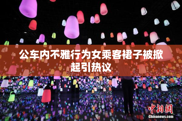 公车内不雅行为女乘客裙子被掀起引热议