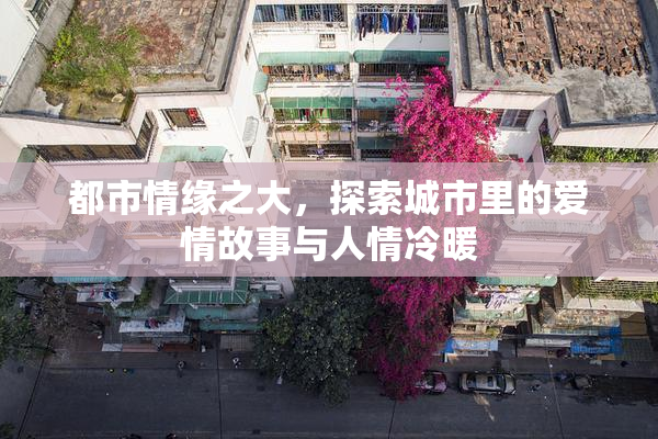 都市情缘之大，探索城市里的爱情故事与人情冷暖