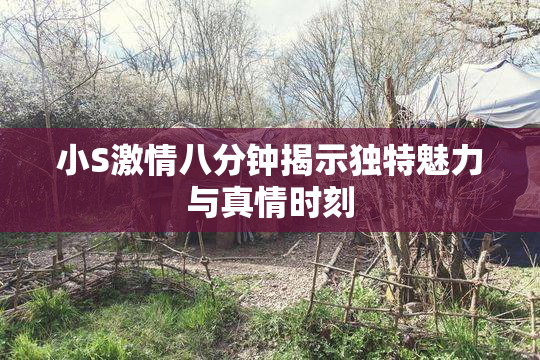 小S激情八分钟揭示独特魅力与真情时刻
