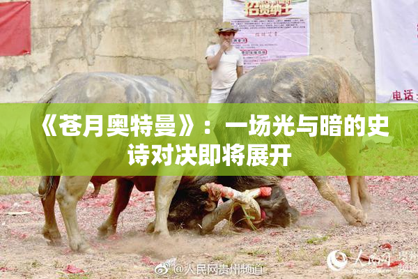 《苍月奥特曼》：一场光与暗的史诗对决即将展开