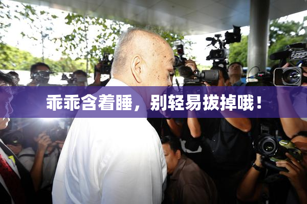 乖乖含着睡，别轻易拔掉哦！