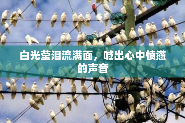 白光莹泪流满面，喊出心中愤懑的声音