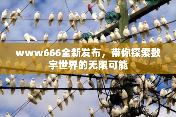 www666全新发布，带你探索数字世界的无限可能