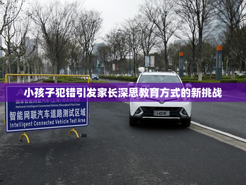 小孩子犯错引发家长深思教育方式的新挑战