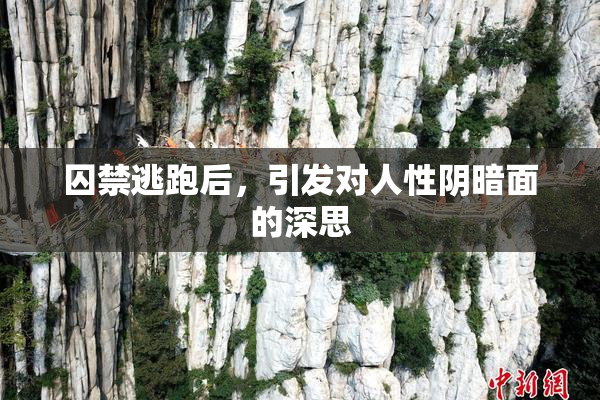 囚禁逃跑后，引发对人性阴暗面的深思