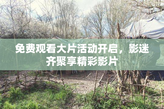 免费观看大片活动开启，影迷齐聚享精彩影片