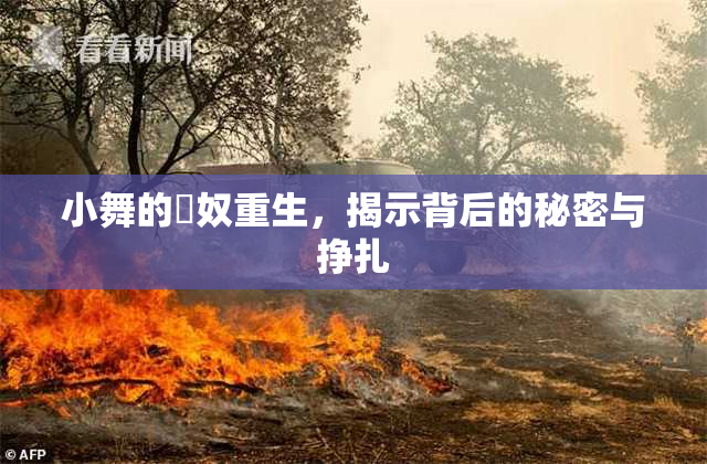 小舞的婬奴重生，揭示背后的秘密与挣扎