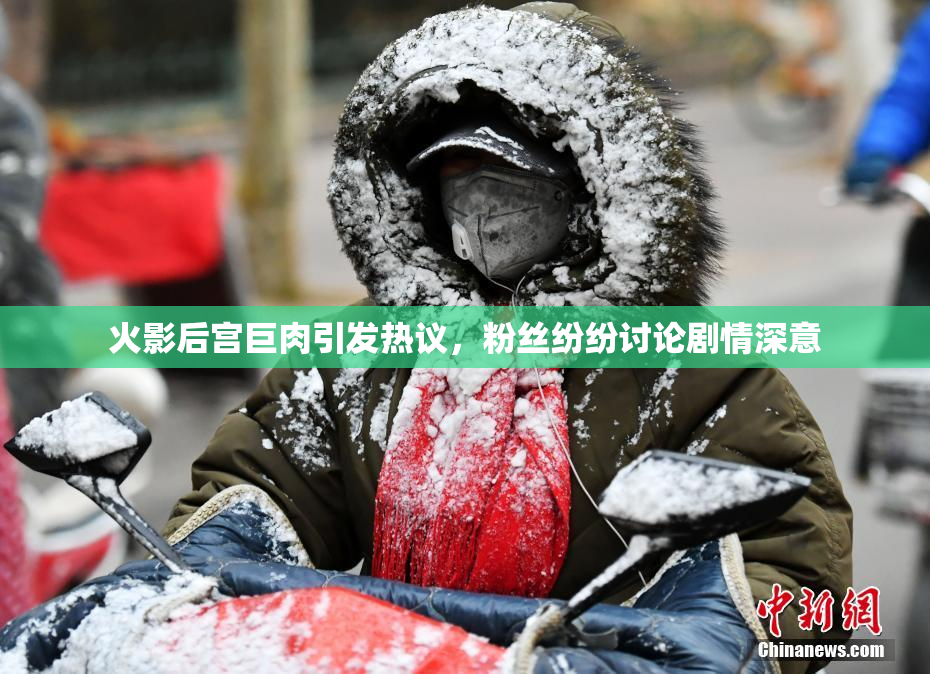 火影后宫巨肉引发热议，粉丝纷纷讨论剧情深意