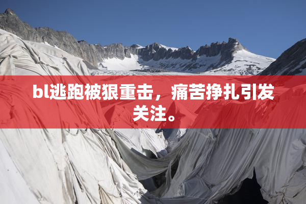 bl逃跑被狠重击，痛苦挣扎引发关注。