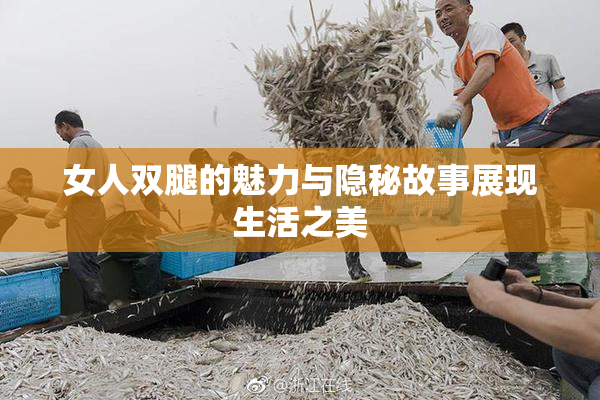 女人双腿的魅力与隐秘故事展现生活之美