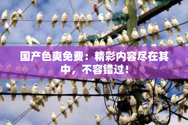 国产色爽免费：精彩内容尽在其中，不容错过！