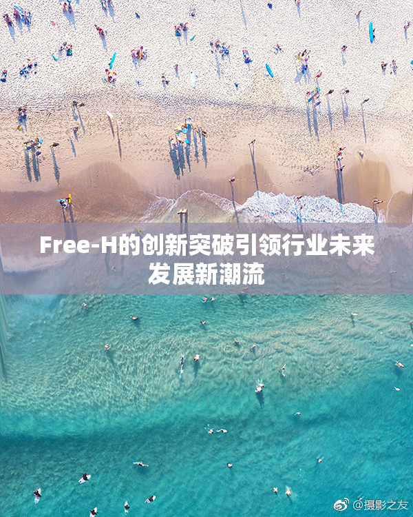Free-H的创新突破引领行业未来发展新潮流