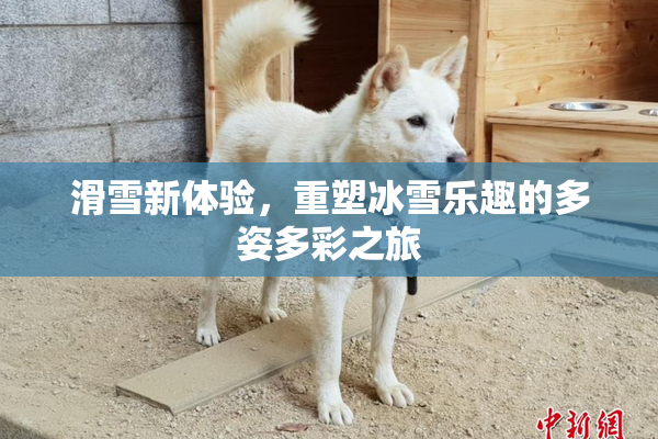 滑雪新体验，重塑冰雪乐趣的多姿多彩之旅