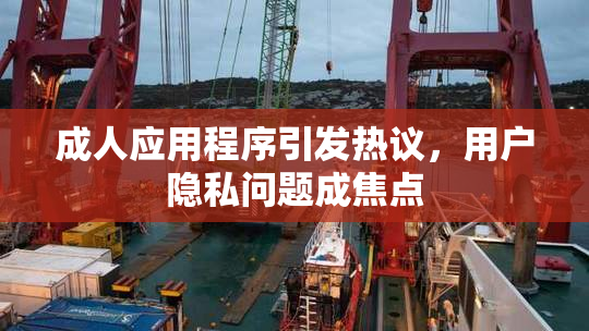 成人应用程序引发热议，用户隐私问题成焦点