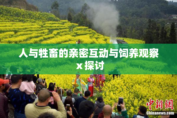 人与牲畜的亲密互动与饲养观察ⅹ探讨