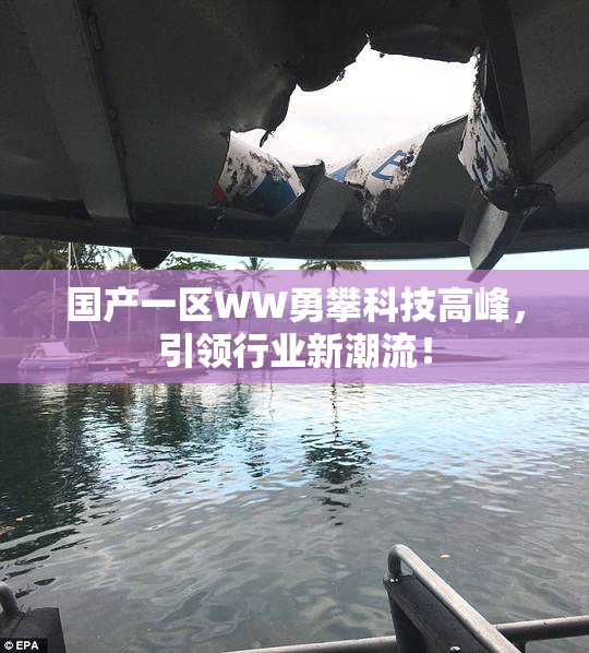 国产一区WW勇攀科技高峰，引领行业新潮流！