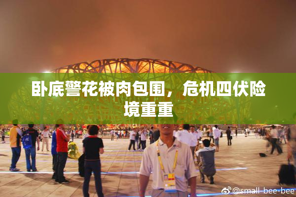 卧底警花被肉包围，危机四伏险境重重