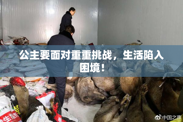 公主要面对重重挑战，生活陷入困境！