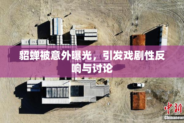 貂蝉被意外曝光，引发戏剧性反响与讨论