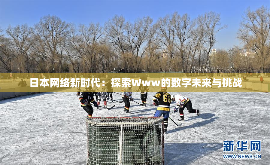 日本网络新时代：探索Www的数字未来与挑战