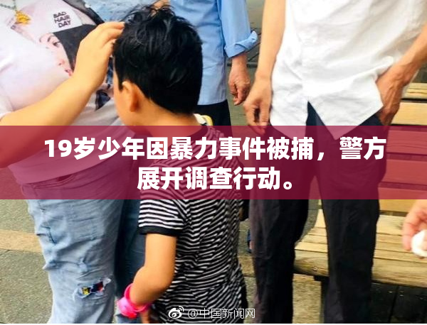 19岁少年因暴力事件被捕，警方展开调查行动。