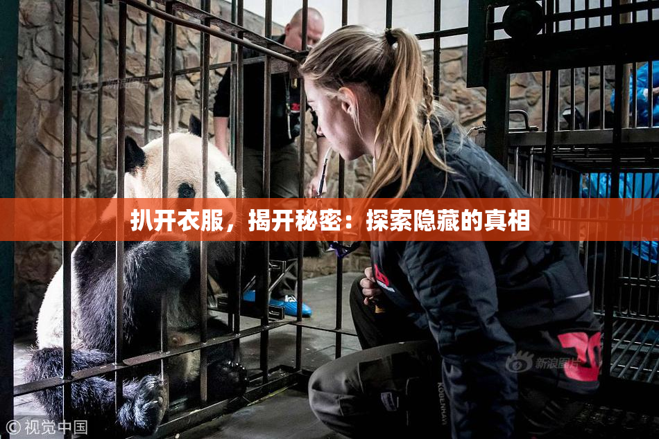 扒开衣服，揭开秘密：探索隐藏的真相