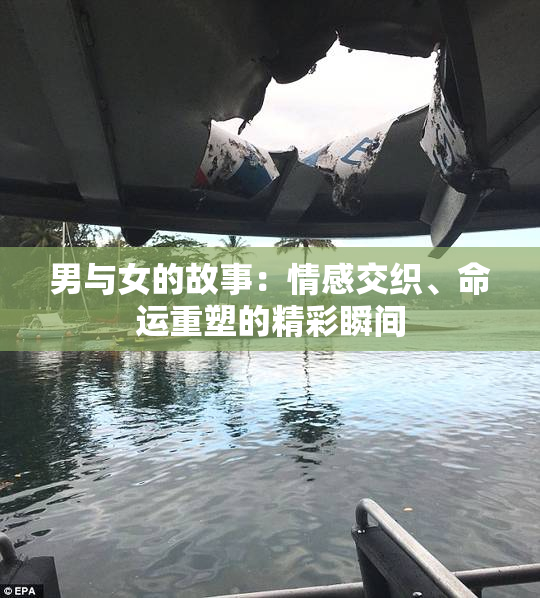 男与女的故事：情感交织、命运重塑的精彩瞬间