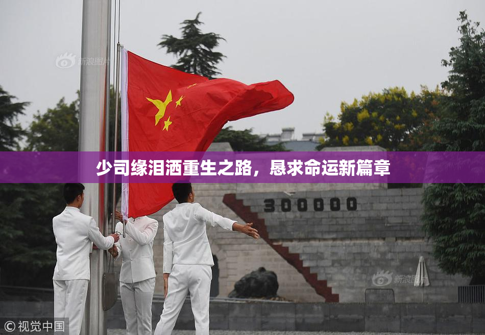 少司缘泪洒重生之路，恳求命运新篇章