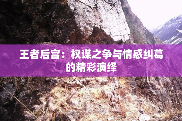 王者后宫：权谋之争与情感纠葛的精彩演绎