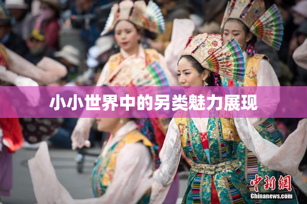 小小世界中的另类魅力展现