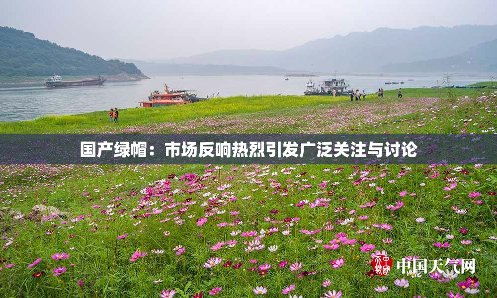 国产绿帽：市场反响热烈引发广泛关注与讨论
