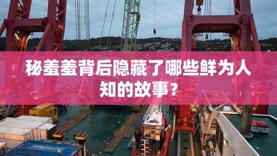 秘羞羞背后隐藏了哪些鲜为人知的故事？