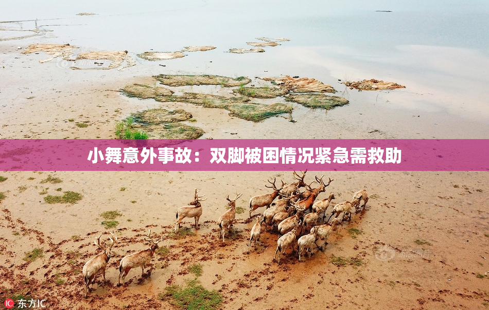 小舞意外事故：双脚被困情况紧急需救助