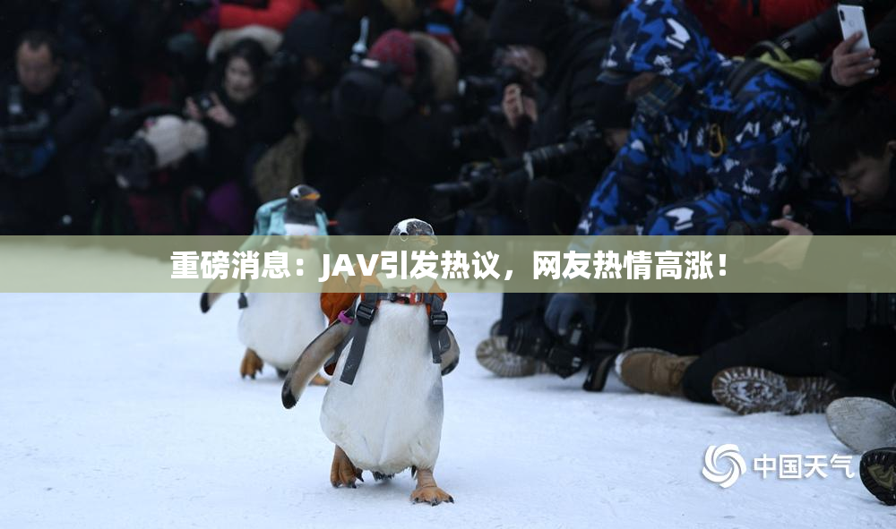 重磅消息：JAV引发热议，网友热情高涨！