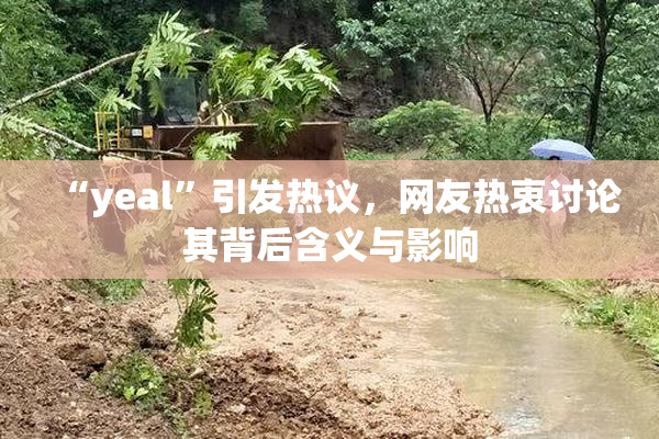 “yeal”引发热议，网友热衷讨论其背后含义与影响
