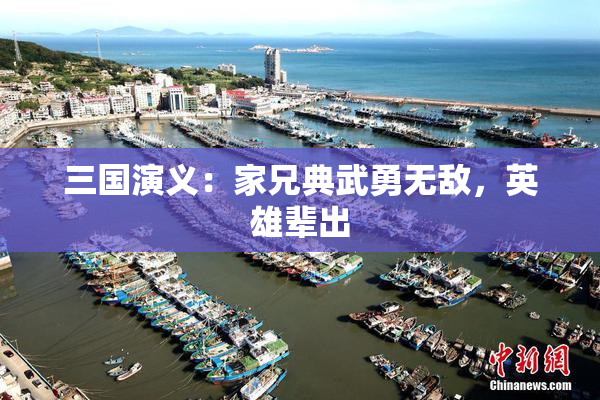 三国演义：家兄典武勇无敌，英雄辈出