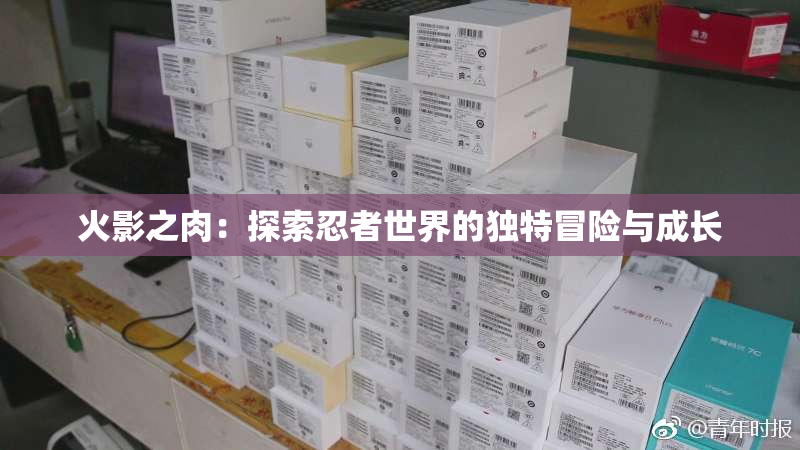 火影之肉：探索忍者世界的独特冒险与成长