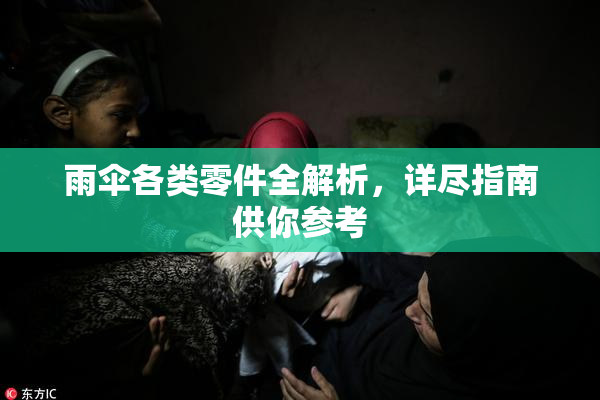 雨伞各类零件全解析，详尽指南供你参考