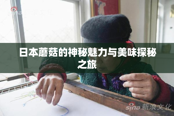 日本蘑菇的神秘魅力与美味探秘之旅