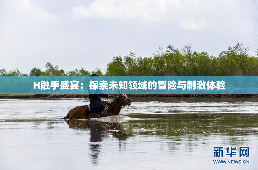 H触手盛宴：探索未知领域的冒险与刺激体验