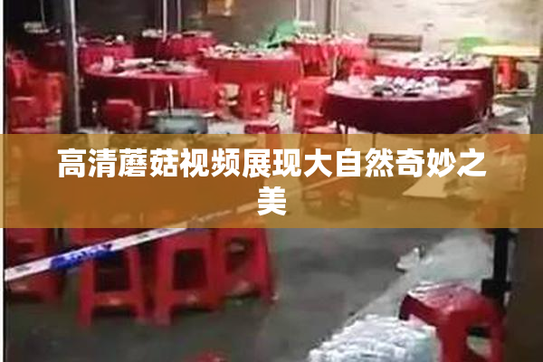 高清蘑菇视频展现大自然奇妙之美