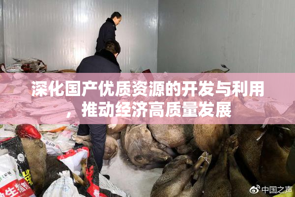 深化国产优质资源的开发与利用，推动经济高质量发展