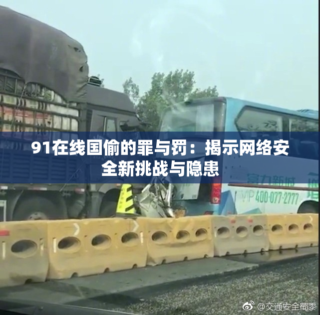 91在线国偷的罪与罚：揭示网络安全新挑战与隐患