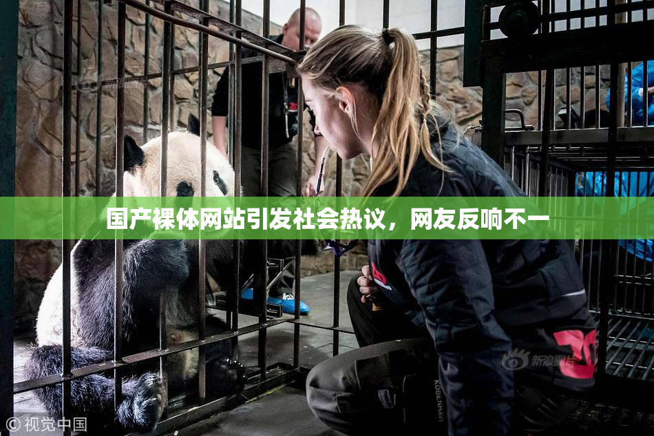 国产裸体网站引发社会热议，网友反响不一