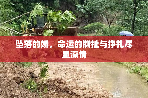 坠落的娇，命运的撕扯与挣扎尽显深情