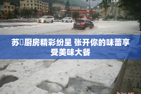 苏玥厨房精彩纷呈 张开你的味蕾享受美味大餐